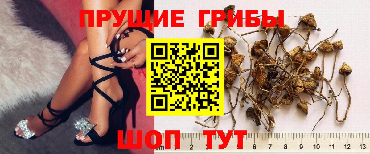 Псилоцибиновые грибы MAGIC MUSHROOMS Кыштым
