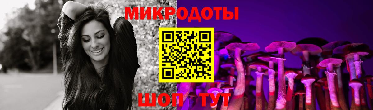 Псилоцибиновые грибы Psilocybine cubensis  Вход с VPN  Кыштым 